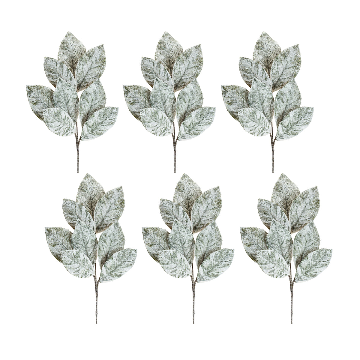 Magnolia Leaf Spray (Set of 6)