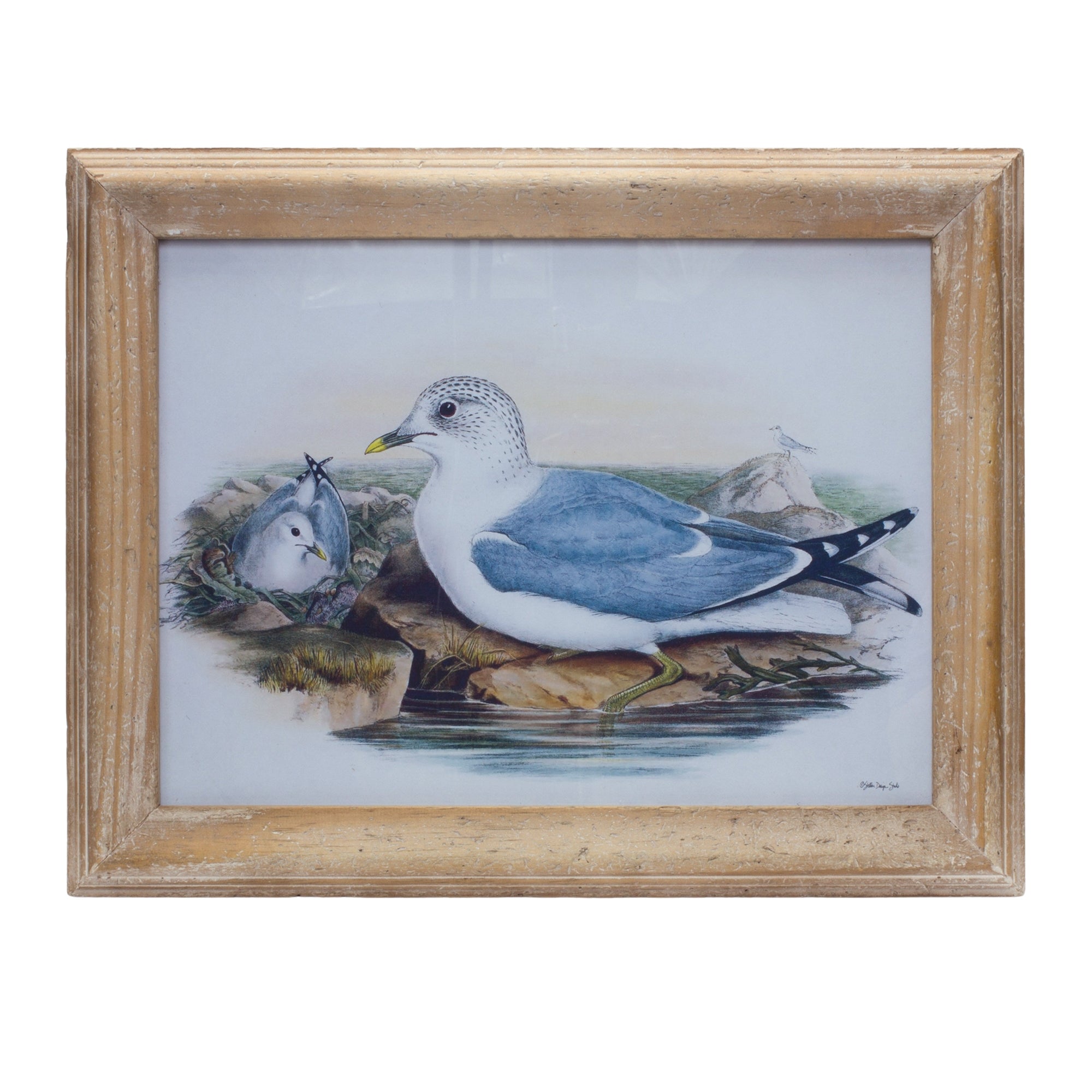 Framed Barn Print