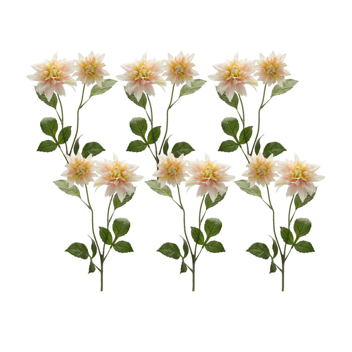 Dahlia Stem (Set of 6)
