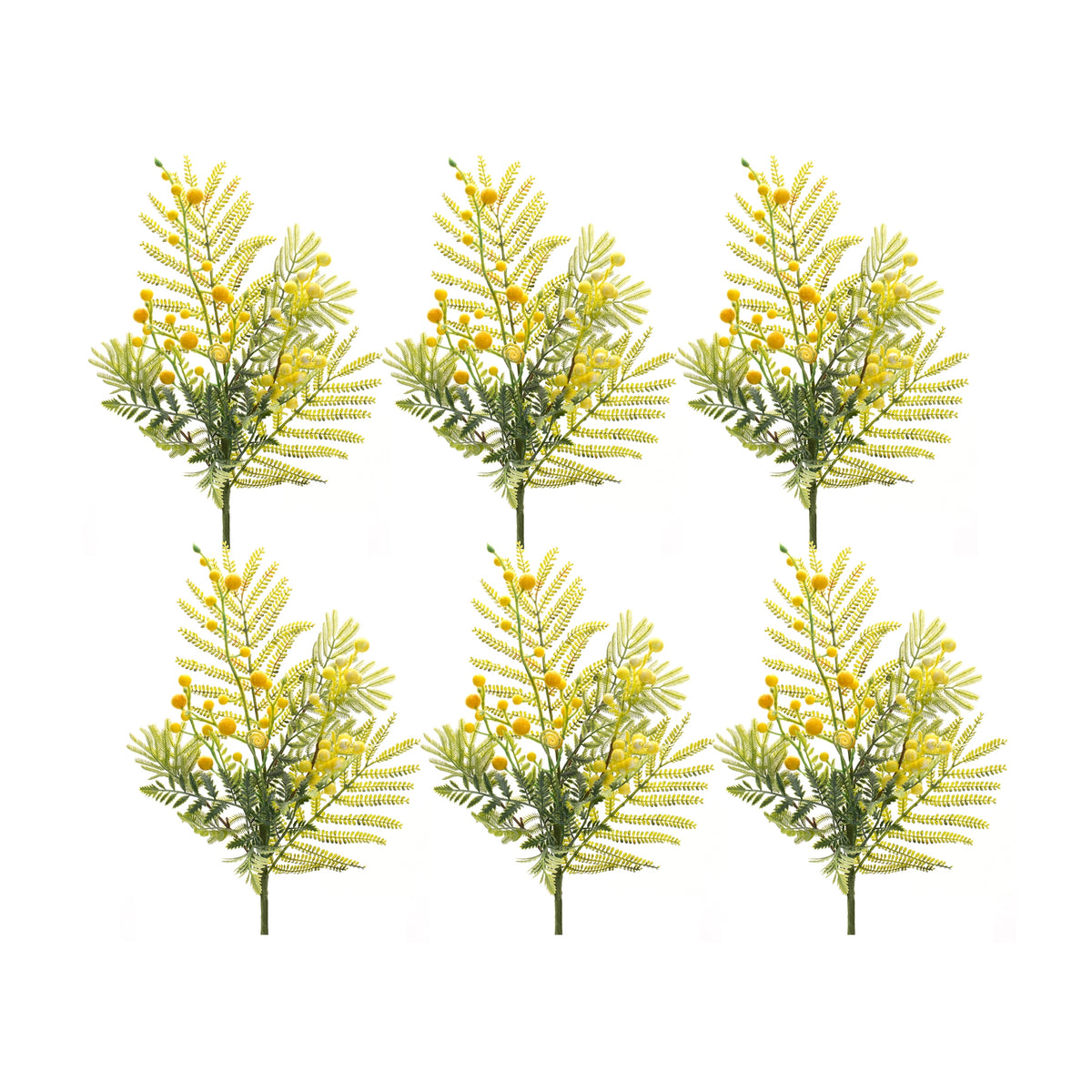 Mimosa Spray (Set of 6)