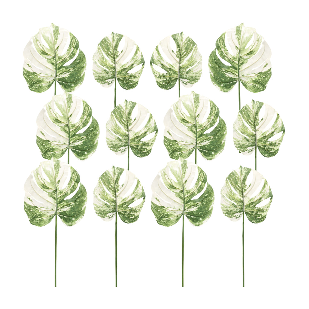 Philo Leaf (Set of 12)