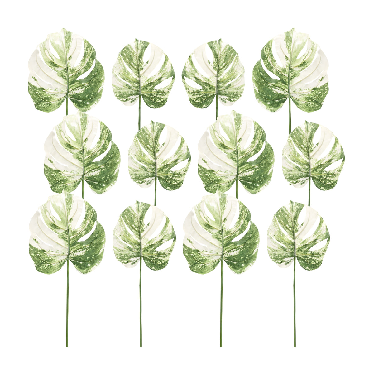Philo Leaf (Set of 12)