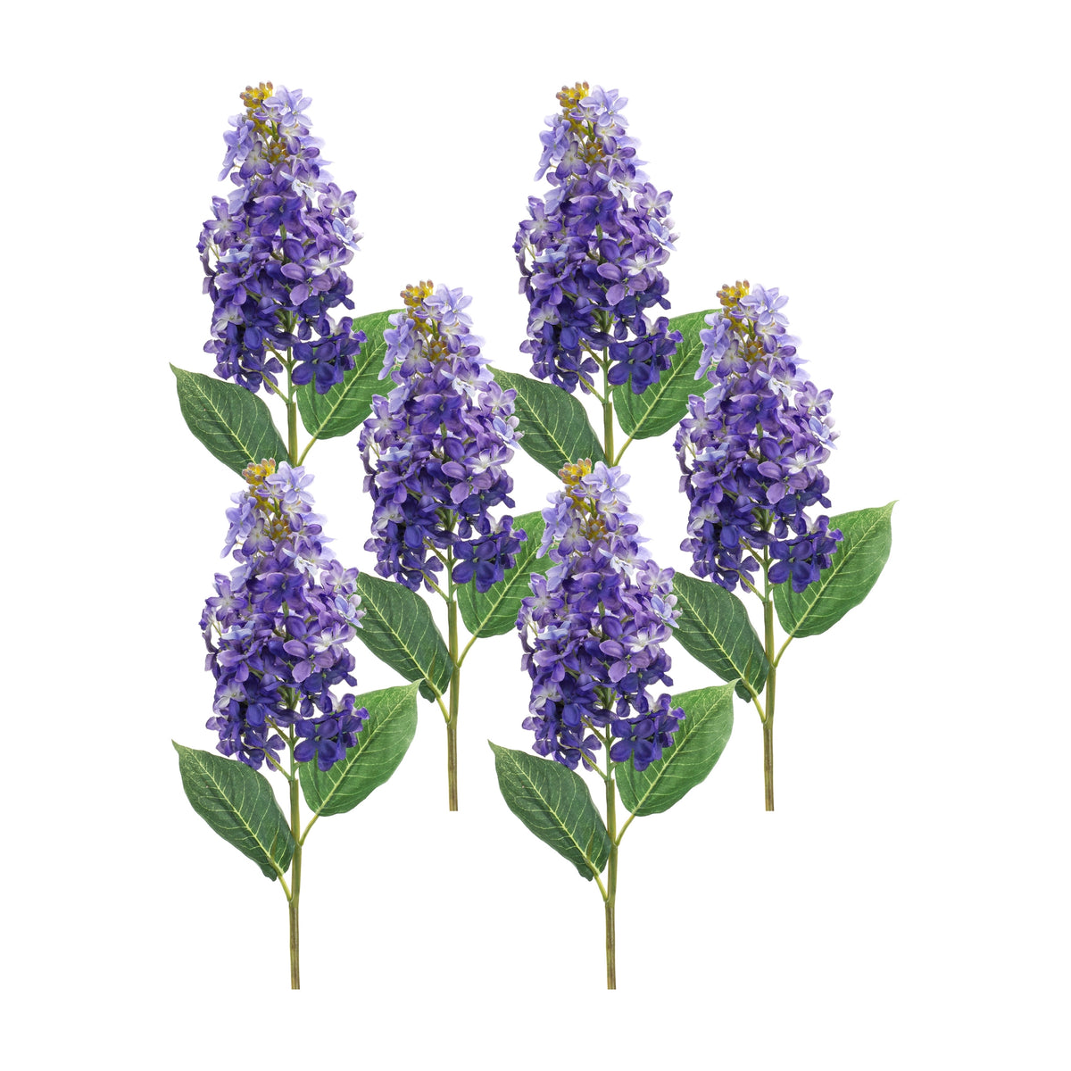 Lilac Stem (Set of 6)