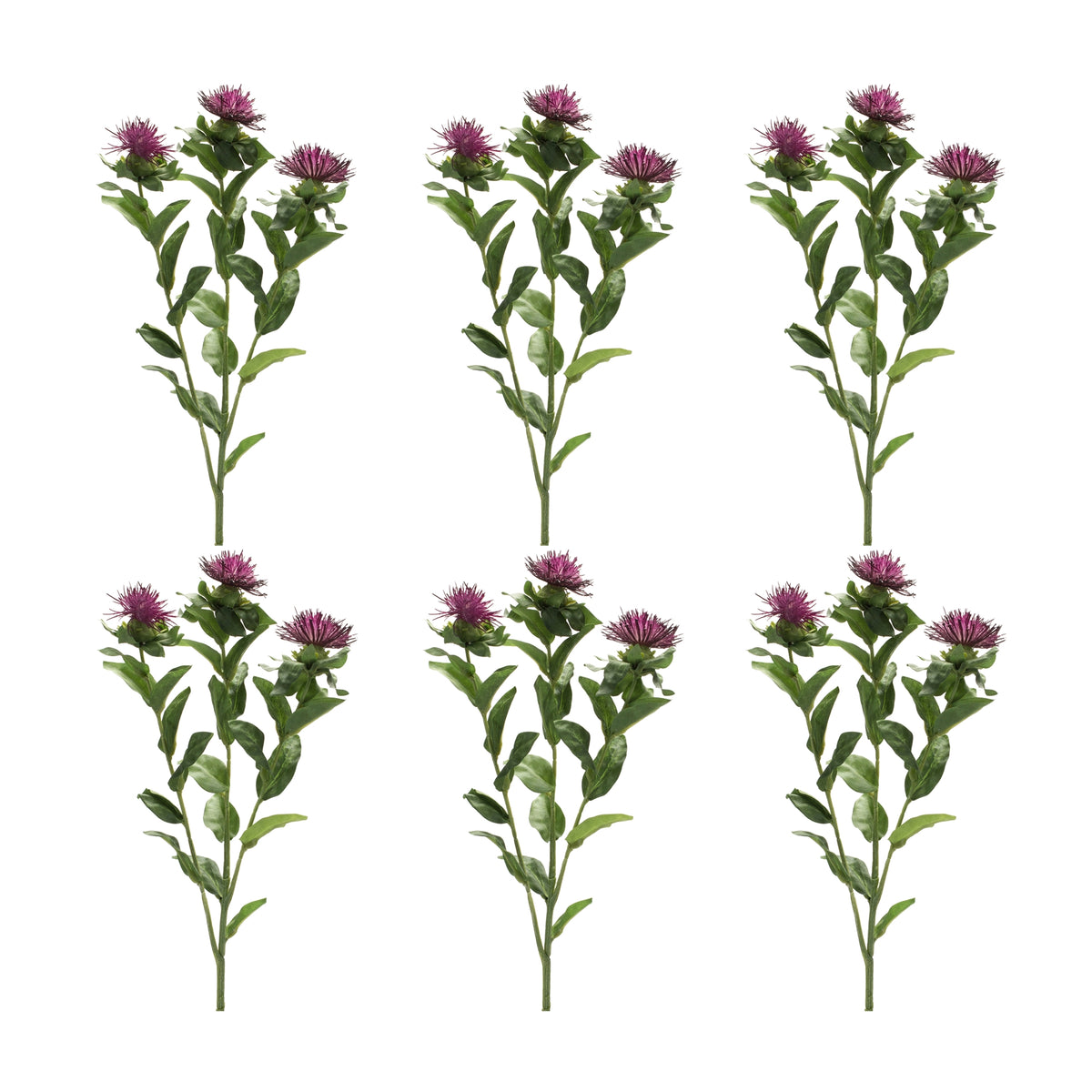 Thistle Spray (Set of 6)