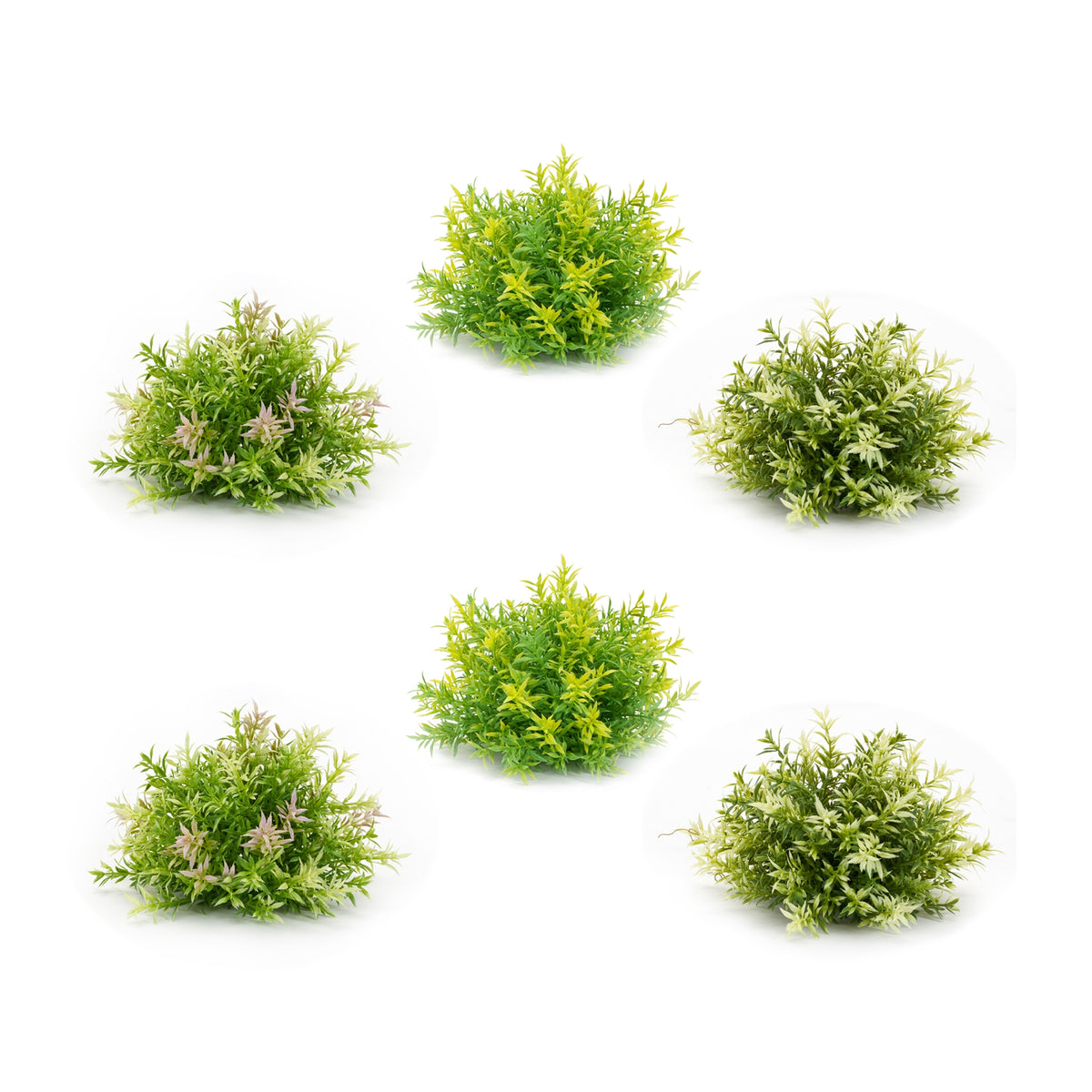 Half Orb (Set of 6)