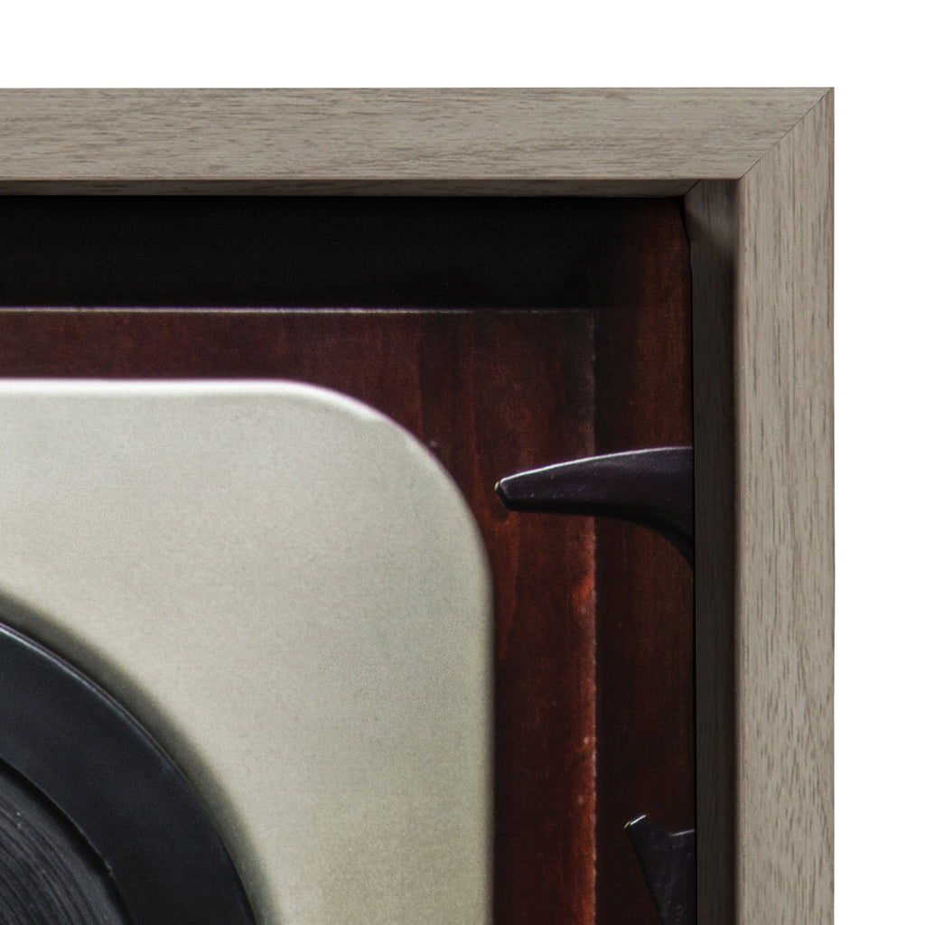 Sylvie High Fidelity Framed Canvas by Emiko and Mark Franzen of F2Images
