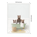 Sylvie Three Bear Cubs in Cottage Green Bath Framed Canvas by Amy Peterson