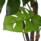 Vidaxl Artificial Monstera Plant - Lifelike Artificial Plant With Real Wooden Stems, Dense Green Foliage, 67 Inches, Includes Pot