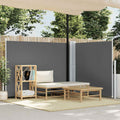 vidaXL Retractable Side Awning Anthracite 55.1x393.7