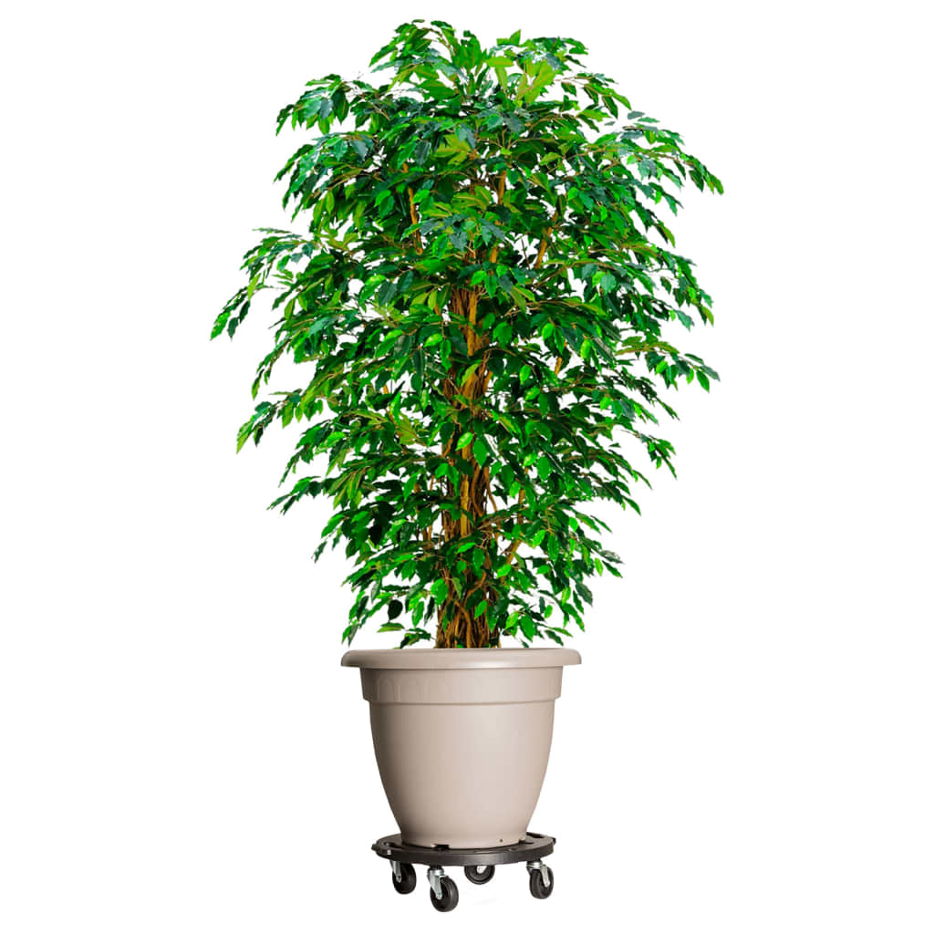 vidaXL Plant Trolleys with Wheels 3 pcs Diameter 15.7 Black 606.3 lb