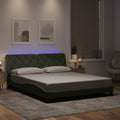 vidaXL Bed Frame with LED Lights Light Gray 59.8x79.9 Queen Velvet