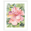 Framed Art Pink Hibiscus In Antigua by Patricia Shaw