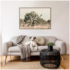 Joshua Tree No. 1 by Alicia Bock Framed Canvas Wall Art Print