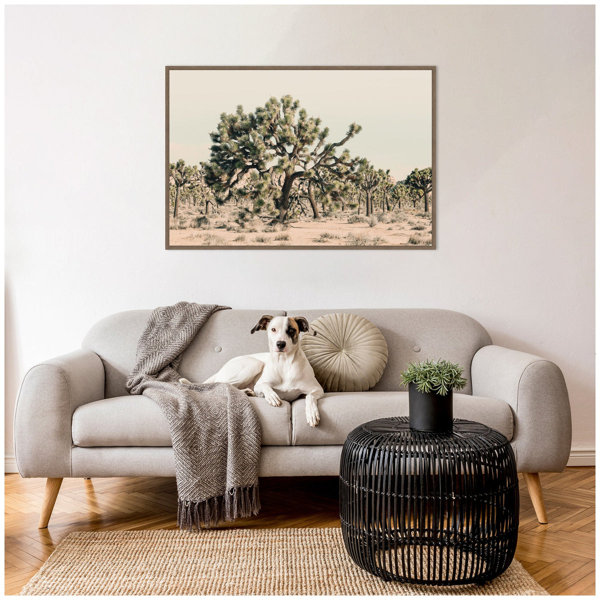 Joshua Tree No. 1 by Alicia Bock Framed Canvas Wall Art Print