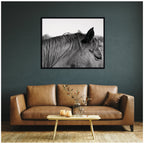 Auburn by Alicia Bock Framed Wall Art Print