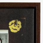 Sylvie High Fidelity Framed Canvas by Emiko and Mark Franzen of F2Images