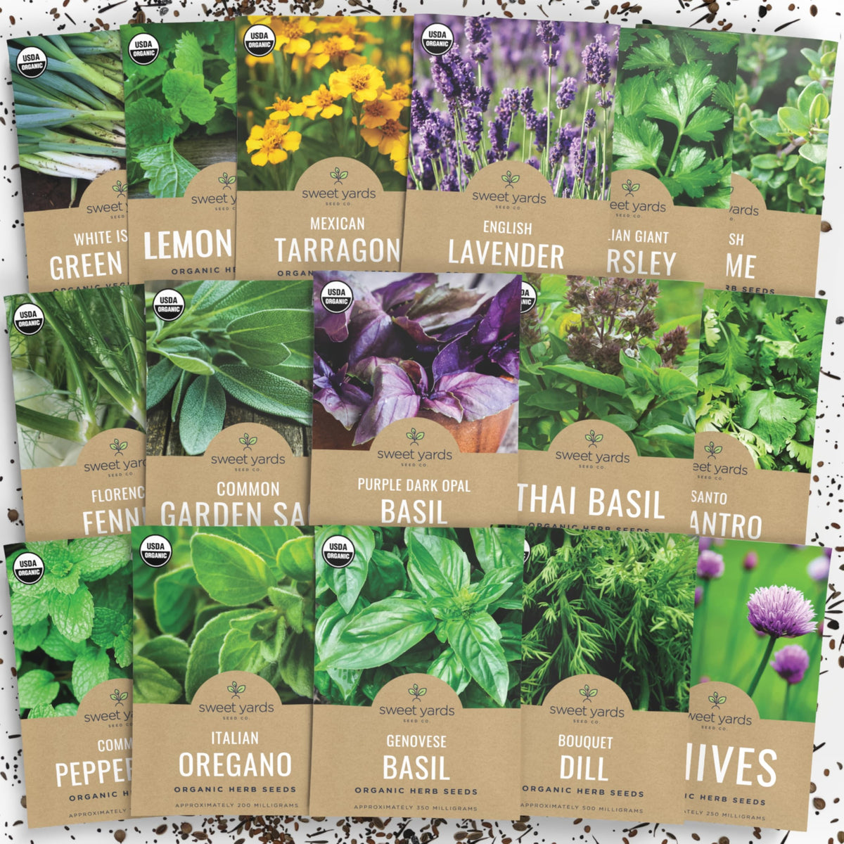 Organic Herb Seeds Variety Pack - 16 Individual Packs - 2025 Season - Basil, Cilantro, Dill, Thyme, Parsley And More! For Indoor
