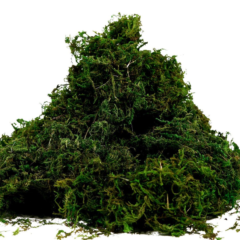Byher Artificial Moss Fake Green Grass For Centerpieces Home Kitchen Garden Decor (3.5Oz, Fresh)