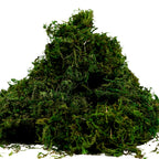 Byher Artificial Moss Fake Green Grass For Centerpieces Home Kitchen Garden Decor (3.5Oz, Fresh)