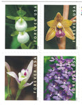 Wild Orchids Book Of 20 First Class Postage Stamps Scott 5444