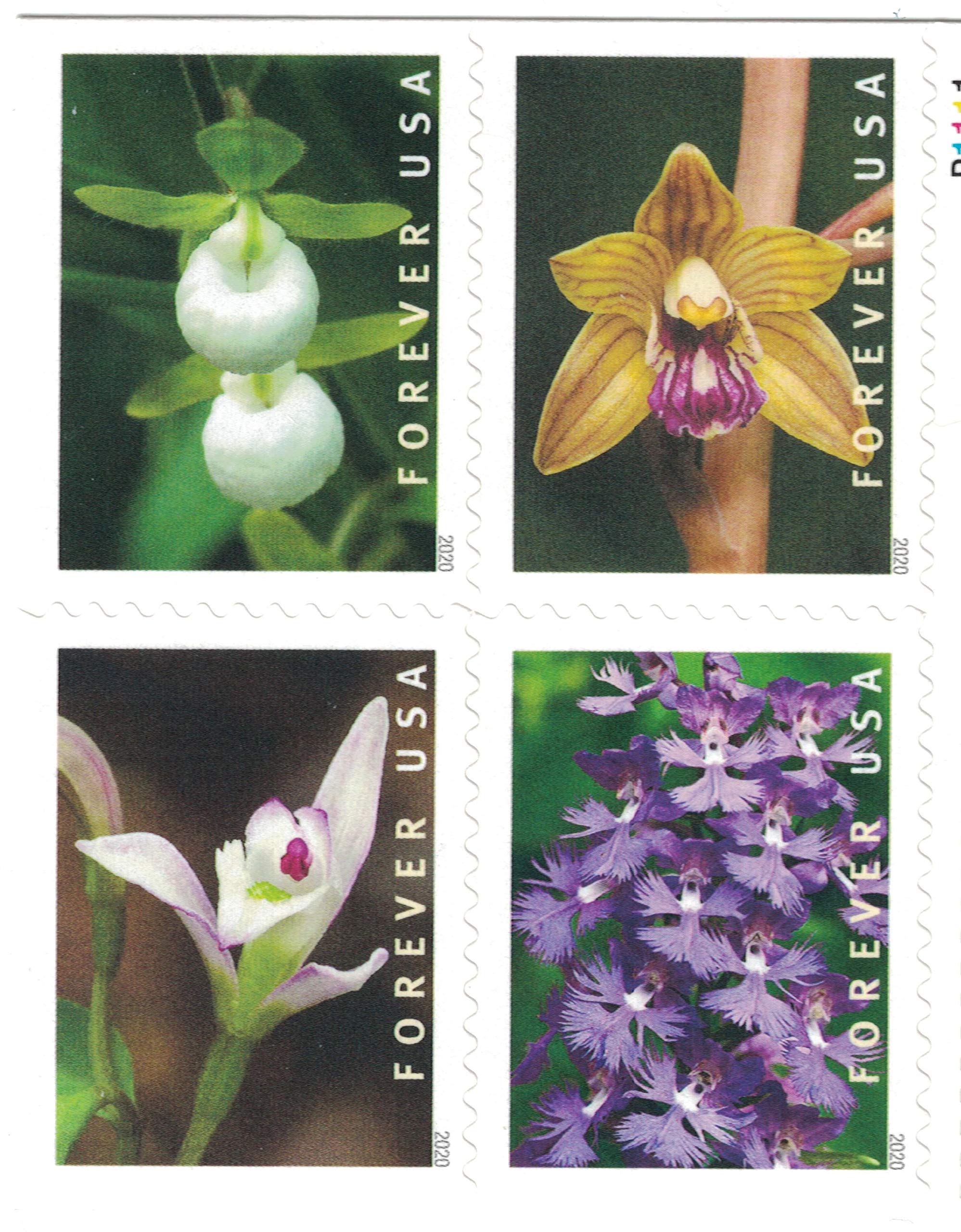 Wild Orchids Book Of 20 First Class Postage Stamps Scott 5444