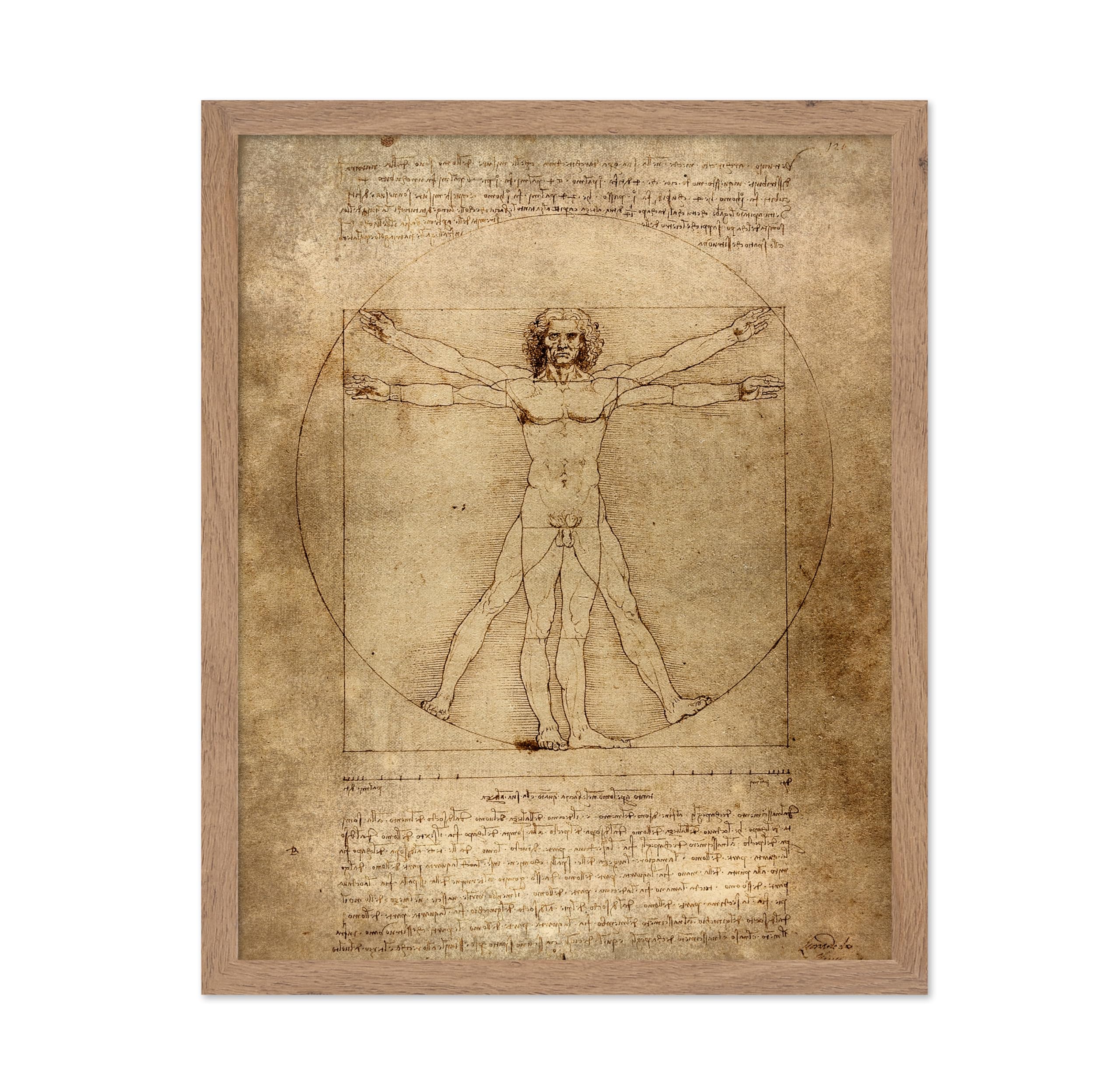Poster Master Classic Leonardo Da Vinci Poster - Vintage Renaissance Print - Gift for Artist, Friend - Vitruvian Man, Proportion
