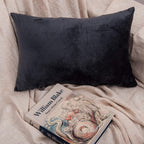 Ntbay 2 Pack Zippered Velvet King Pillowcases, Super Soft And Cozy Luxury Fuzzy Flannel Pillow Cases With Zipper, 20X36 Inches,