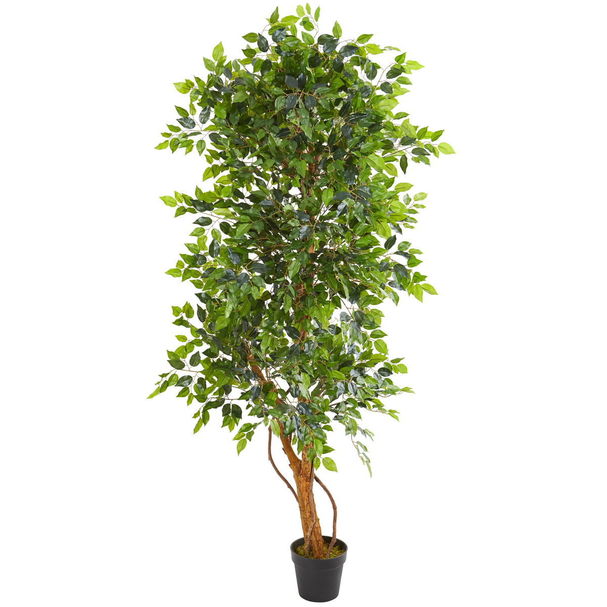 6 Elegant Ficus Artificial Tree – Selectfurniture