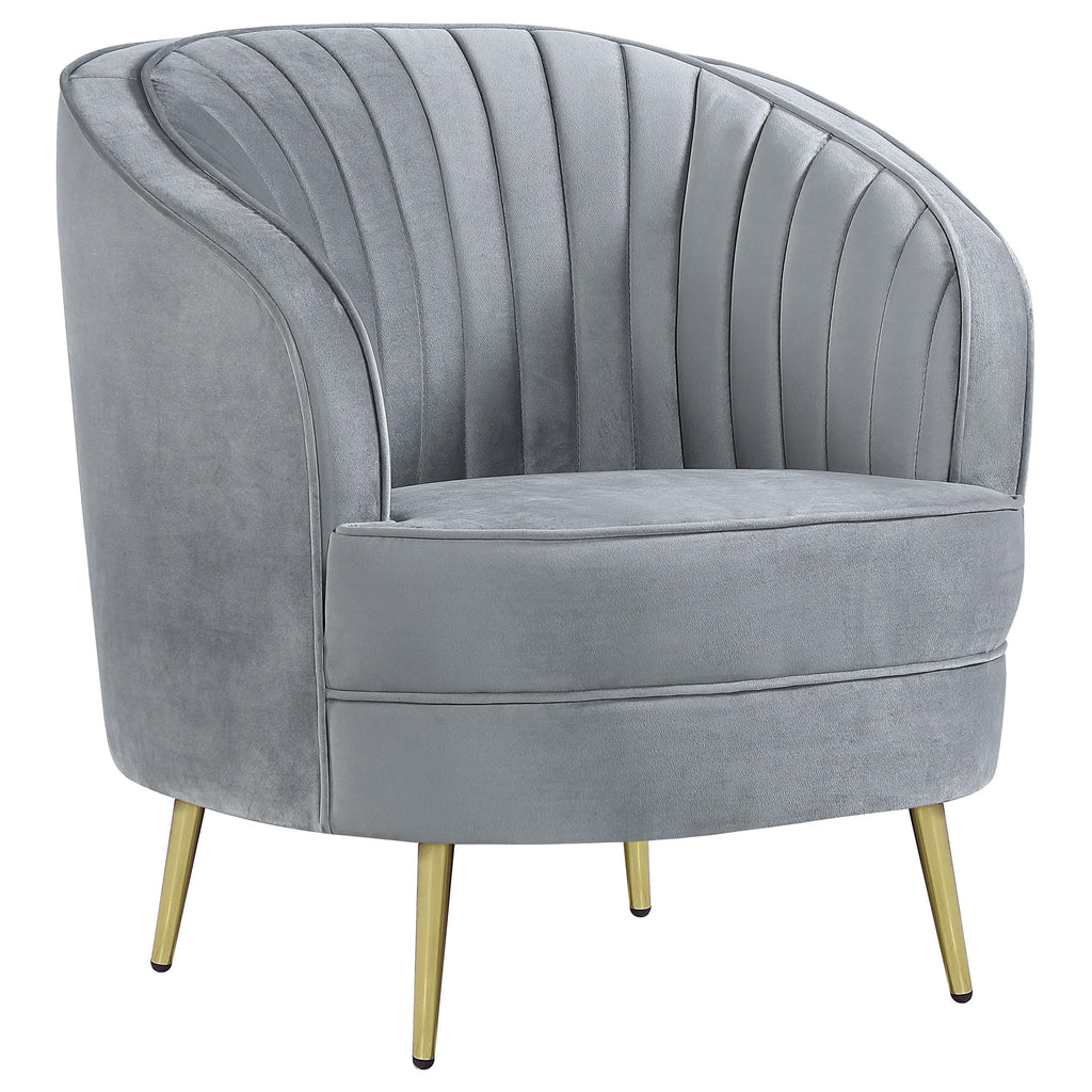 Coaster Sophia Chair, Grey