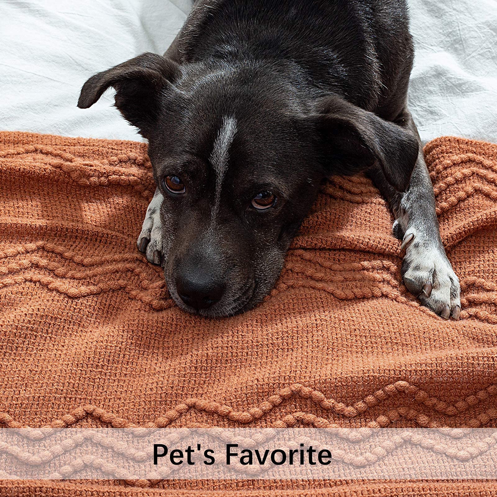 MIULEE Knitted Boho Throw Blanket, 50x60, Textured Knit in Terracotta Rust with Tassels, Cozy Farmhouse Decor for Couch or Bed