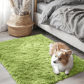 OLANLY 2x3 Machine Washable Small Bedside Rug, Soft Fluffy Shaggy Entryway Throw Rugs for Bedroom, Living Room, Indoor Floor Car