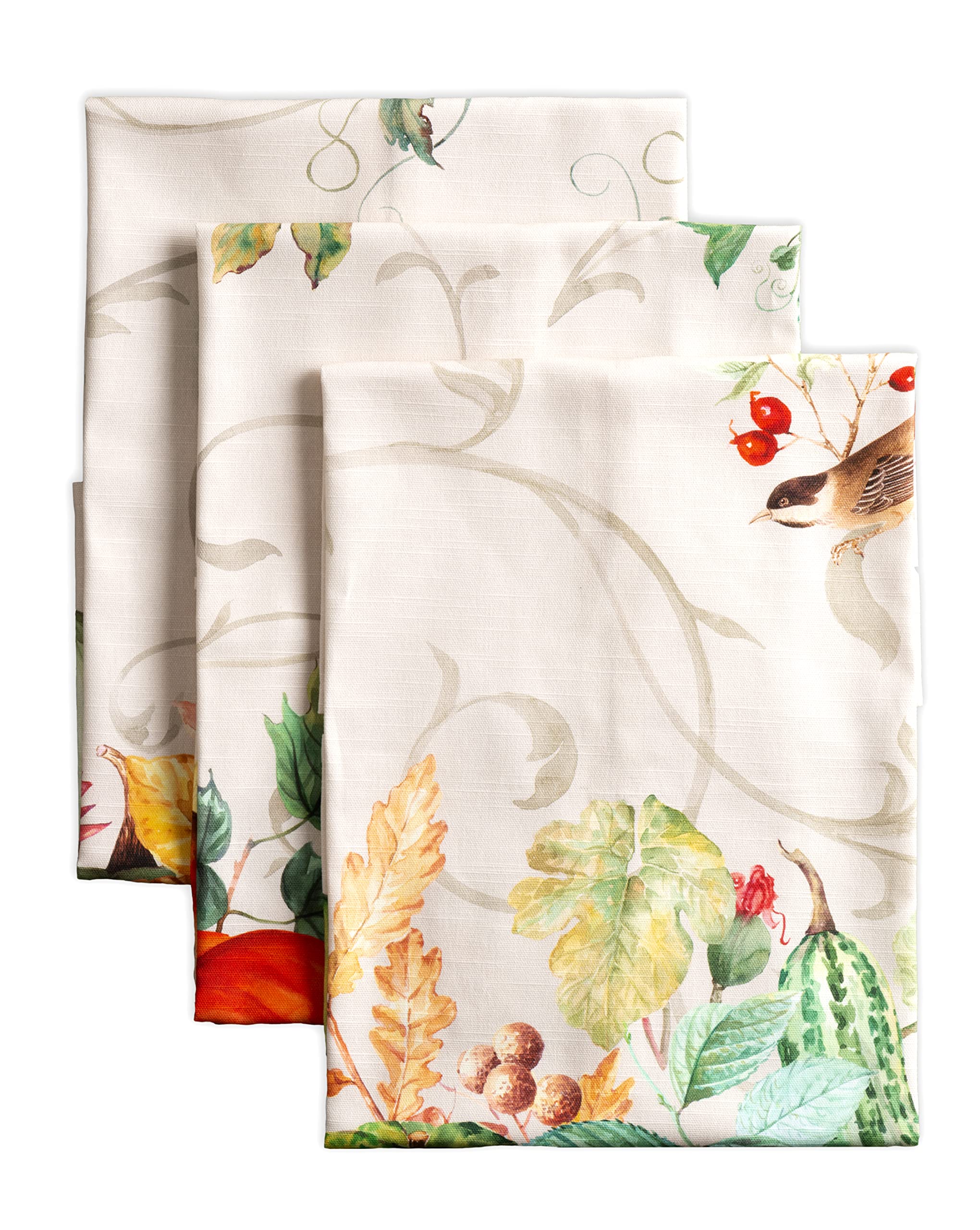 Maison d Hermine Dish Cloth 100% Cotton Set of 3 Quick Drying Dish Towels for Gifts, Dining, Kitchen, Parties & Tea, Lumina - T