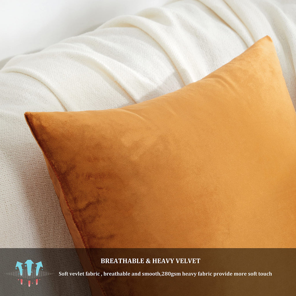 Gigizaza Decorative Couch Throw Pillow Covers,Set Of 2 Burnt Orange Square Pillow Cushion Covers 24X24,Pillow Cases Velvet Pillo