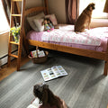 Gray Cloud 5x8 Braided Rug, Your White and Gray Rug for 5x8 Entry Rug and Rustic Area Rugs for Living Room by Homespice