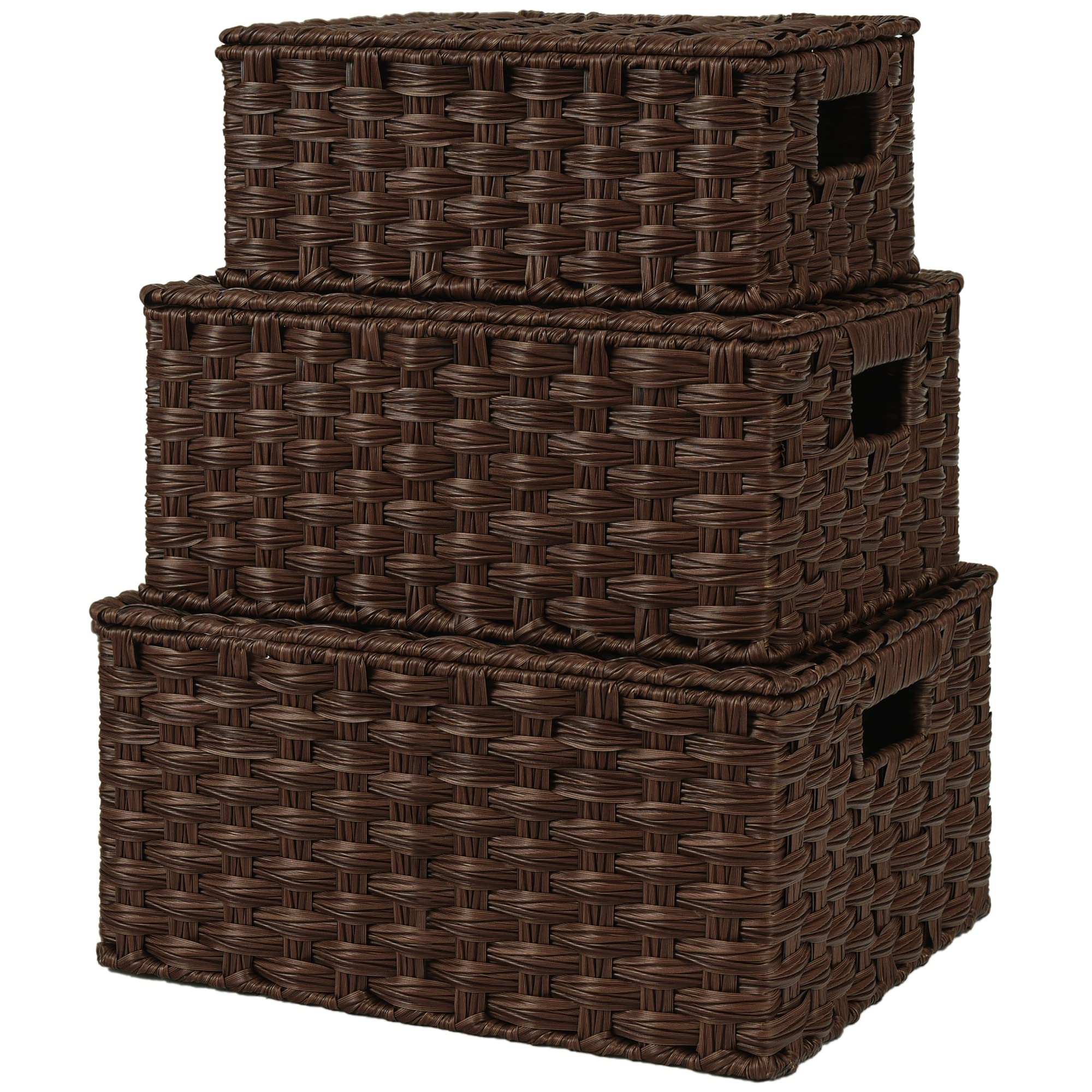 GRANNY SAYS Wicker Baskets with Lids, Set of 3 Decorative Storage Boxes, Woven Basket for Organizing, Storage and Organizer Bask