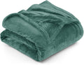 Utopia Bedding Fleece Blanket Twin Size Celadon 300Gsm Luxury Anti-Static Fuzzy Soft Microfiber Bed Blanket (60X80 Inch)