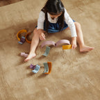 Jinchan Solid Plush Area Rug 3X5 Performance Shaggy Rug Washable Area Rug Indoor Soft Rug Modern Faux Wool Rug Cozy Non Slip Car