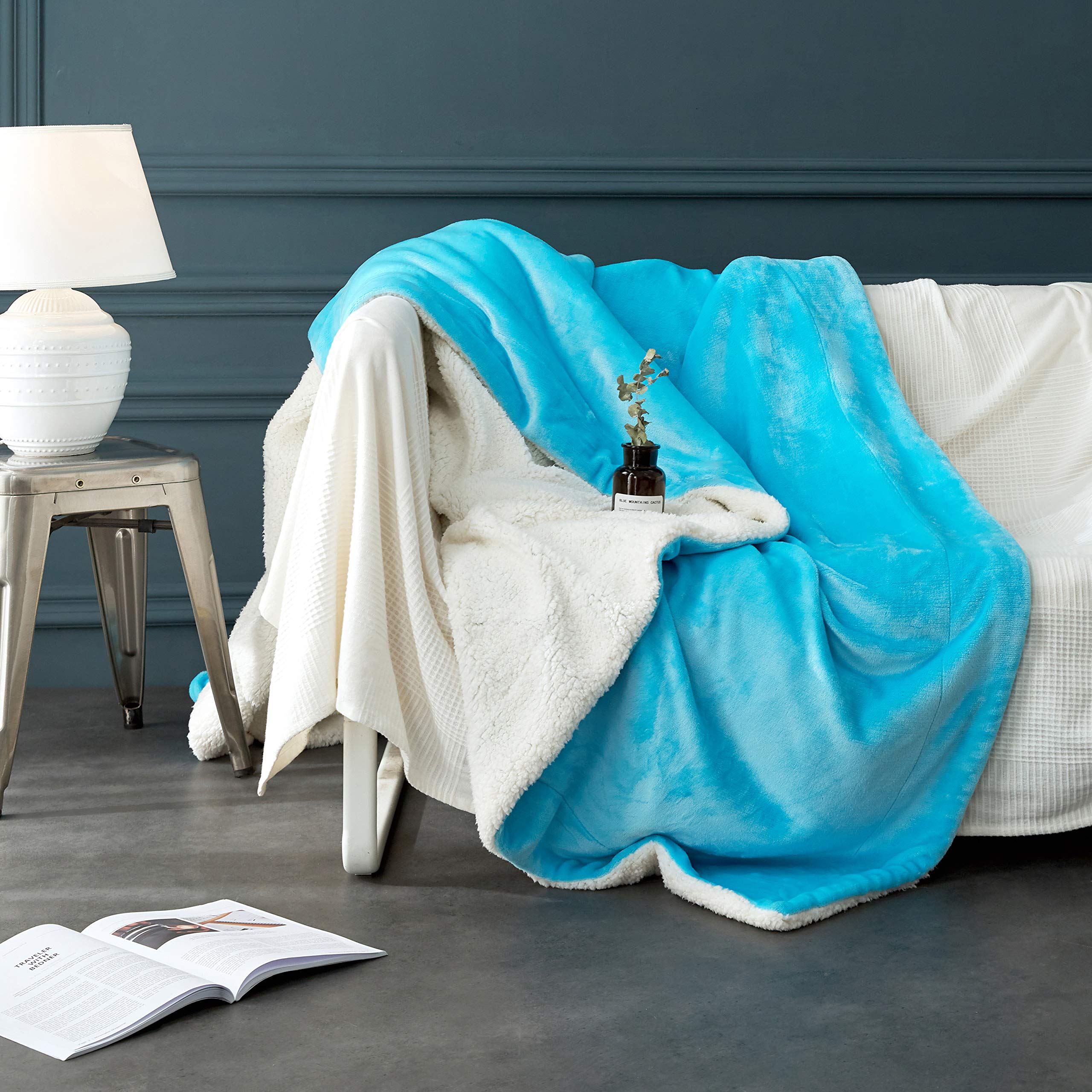 Lbro2M Sherpa Fleece Bed Blanket Fuzzy Plush Warm Super Soft Cozy Fluffy Microfiber Couch (Teal, Twin(65X90 Inches))