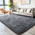 KCHOWUA Grey Rug for Bedroom 6x9 Rug for Living Room Thick Machine Washable Plush Rug for Dorm Soft Shag for Kids Baby Room Nurs