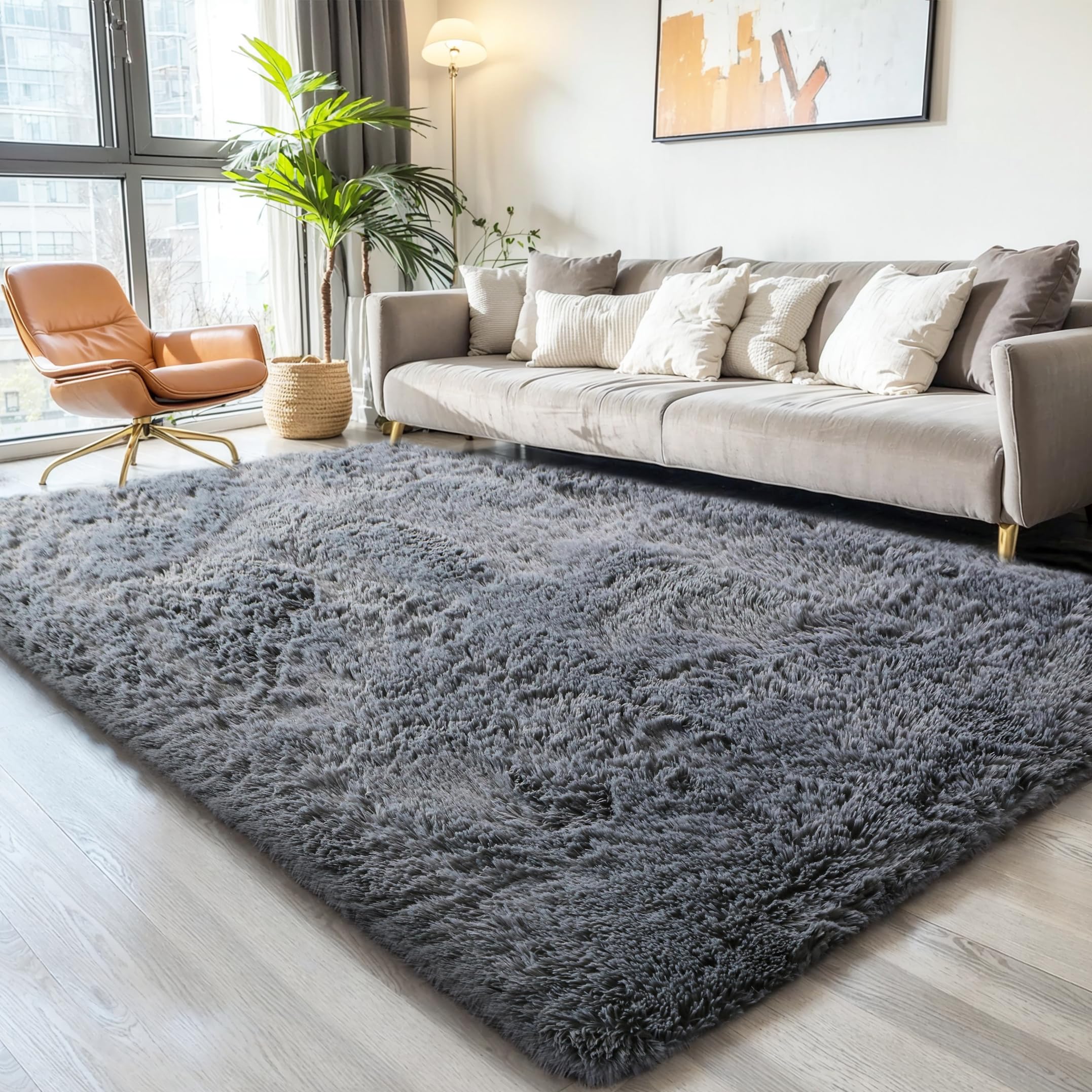 KCHOWUA Grey Rug for Bedroom 6x9 Rug for Living Room Thick Machine Washable Plush Rug for Dorm Soft Shag for Kids Baby Room Nurs