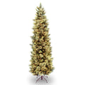 National Tree Company Pre-lit Artificial Christmas Tree | Includes Pre-strung White Lights and Stand | Carolina Pine Slim - 6.5 
