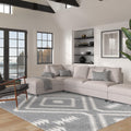 Granada Galen Gray And Ivory Olefin Shag Area Rug