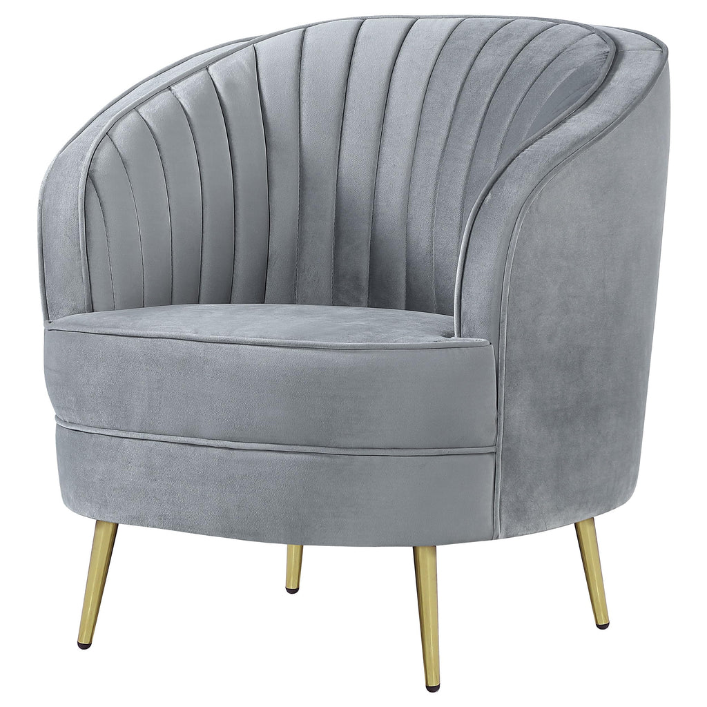 Coaster Sophia Chair, Grey