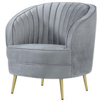 Coaster Sophia Chair, Grey