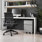 Techni Mobili Rolling Lock and Storage 2 Drawer Vertical Filing Cabinet, 15.75" L x 17.75" W x 23" H,Grey