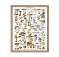 Poster Master Vintage Poster - Retro Botanical Print - Gift for Gardener, Friend - Different Fungus Species, Mushroom, Fungi - W