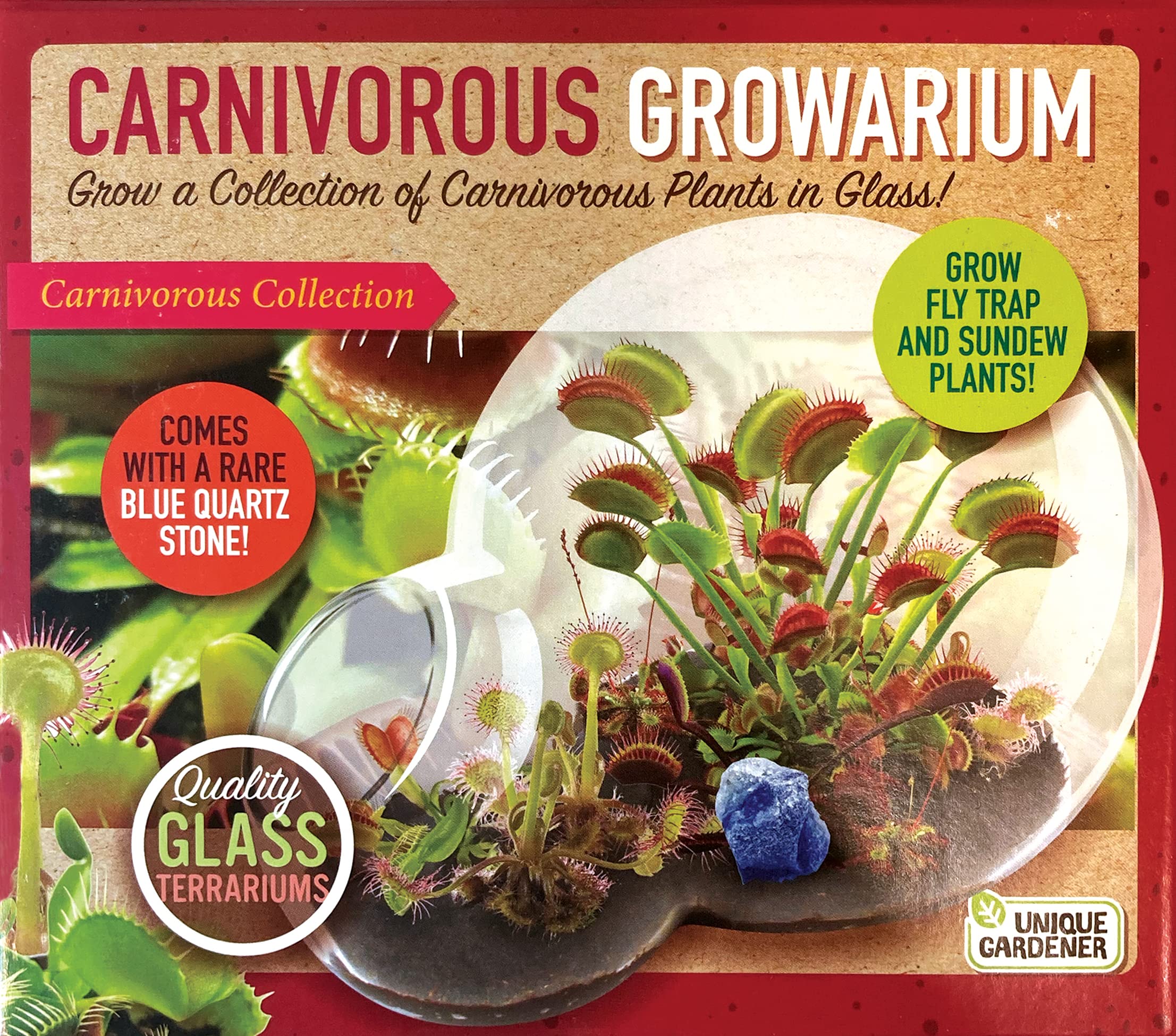 Grow Your Own Venus Fly Trap - Complete Kids Terrarium Kit To Sprout Fly Trap And Sundew Plants - Includes Everything Needed For
