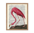 Poster Master Dictionary Art Poster - Retro Pink Flamingo Print - Bird Art - Gift for Men, Women, Animal Lover - Aesthetic Wall 