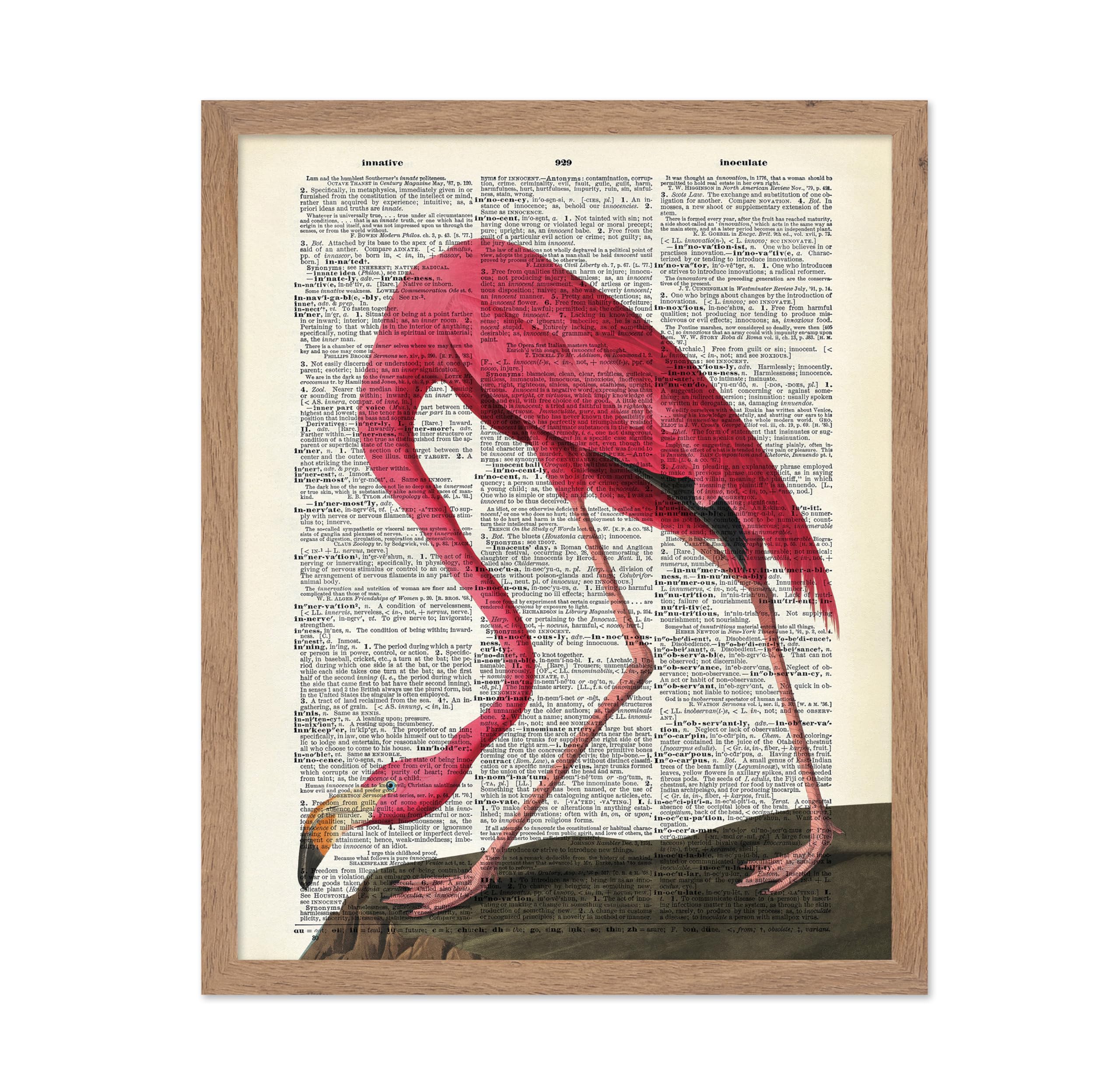 Poster Master Dictionary Art Poster - Retro Pink Flamingo Print - Bird Art - Gift for Men, Women, Animal Lover - Aesthetic Wall 