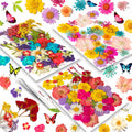 151Pcs Real Nature Dried Pressed Flowers For Resin Mold, Dry Pressing Floral With Butterfly Transparent Stickers Set For Diy Jew